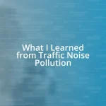 What I Learned from Traffic Noise Pollution