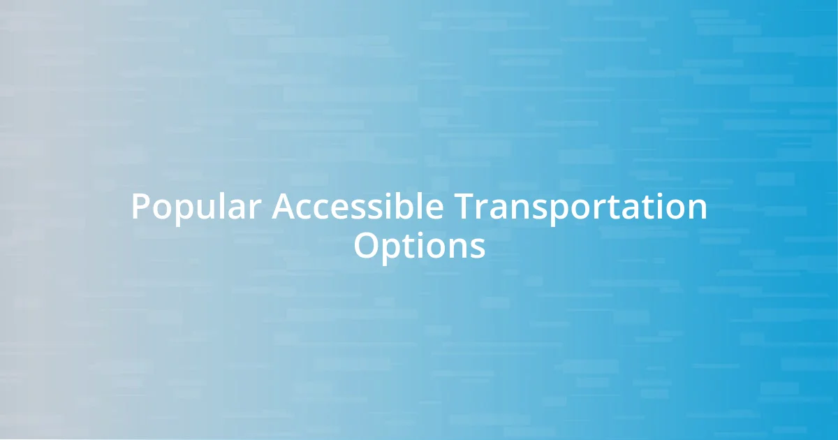 Popular Accessible Transportation Options