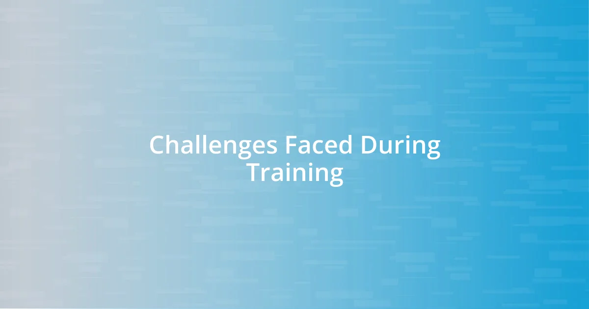 Challenges Faced During Training